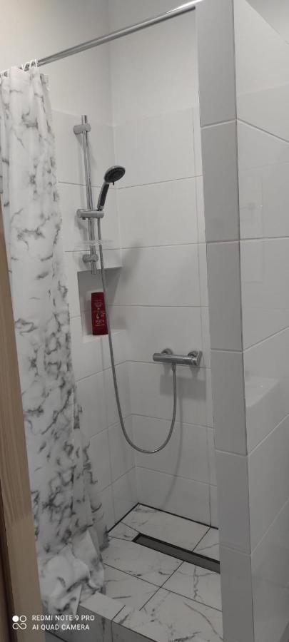 Lilia House Poznan Apartment Екстериор снимка